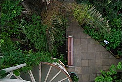 DSC_2381.JPG