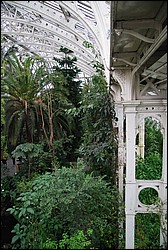 DSC_2383.JPG