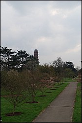 DSC_2393.JPG