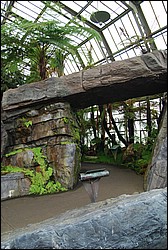 DSC_2397.JPG