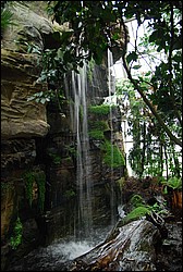 DSC_2407.JPG