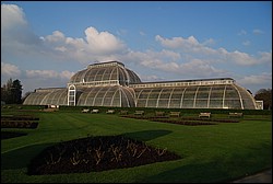 DSC_2444.JPG