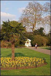 DSC_2459.JPG