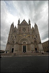 DSC_0203.JPG