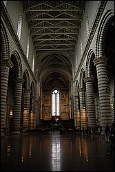 DSC_0212.JPG