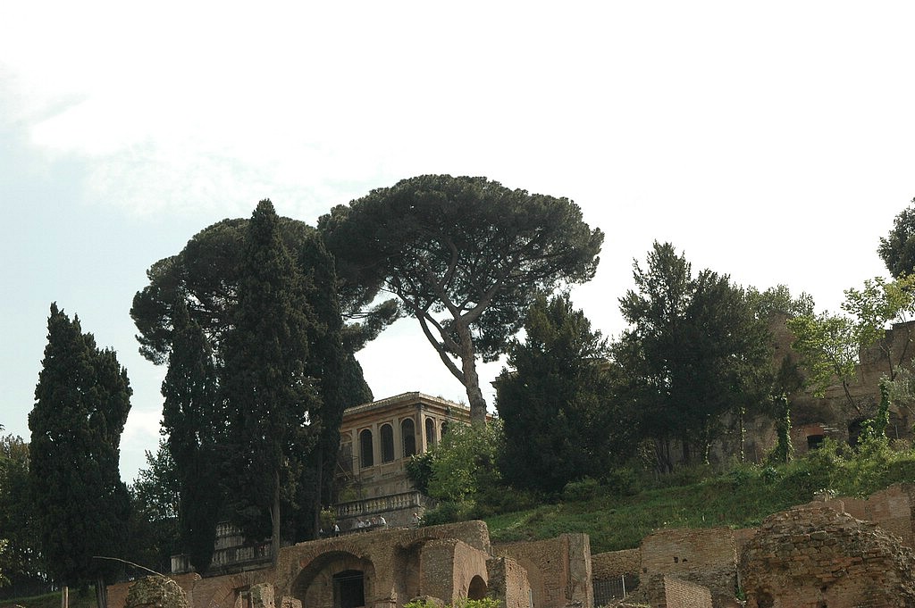 DSC_0183.JPG