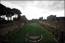 DSC_0205g.jpg