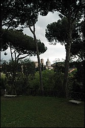 DSC_0207g.jpg