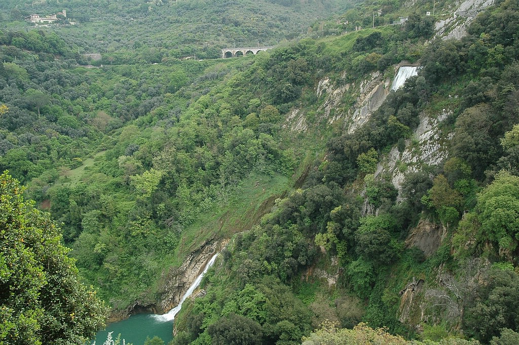 DSC_0308.JPG