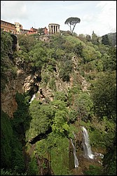 DSC_0247.JPG