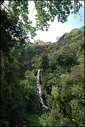 DSC_0279.JPG