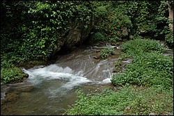 DSC_0293.JPG