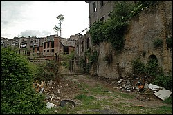 DSC_0317.JPG