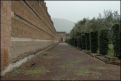 DSC_0359E.JPG