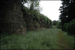 DSC_0390.JPG