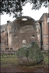 DSC_0400.JPG