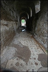 DSC_0405.JPG