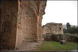 DSC_0411.JPG