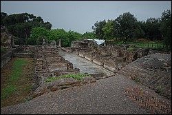 DSC_0413.JPG