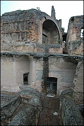 DSC_1006.JPG