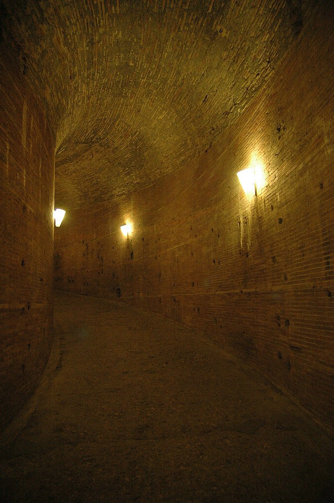 DSC_1075.JPG