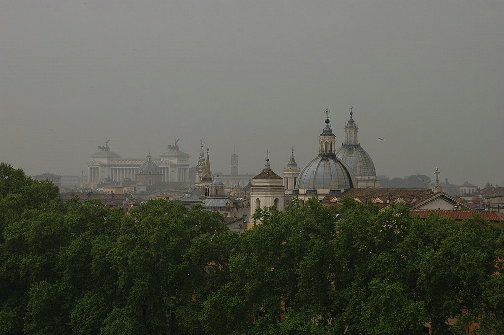 DSC_1096.JPG