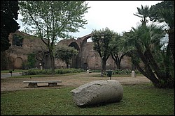 DSC_0150.JPG