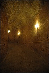 DSC_1075.JPG
