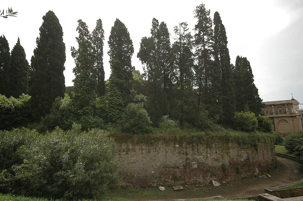 DSC_0075.JPG