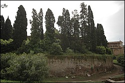 DSC_0075.JPG