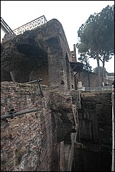 DSC_0205.JPG