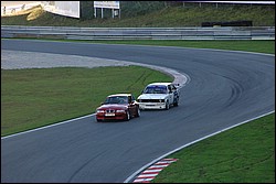 DSC_0230.JPG
