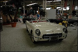 DSC_0406.JPG