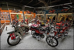 DSC_0428.JPG