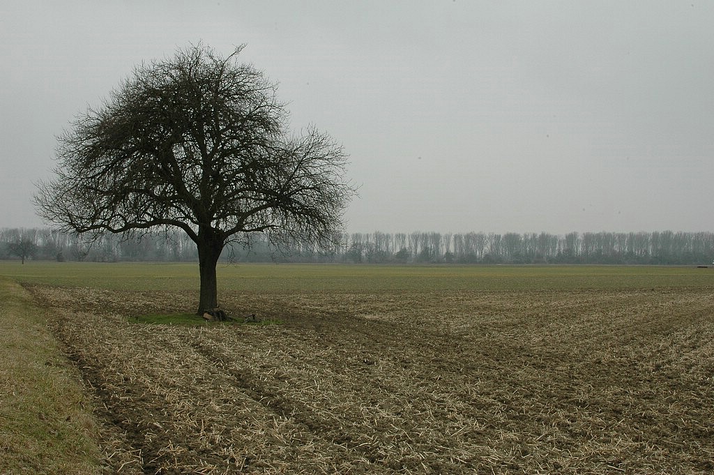 DSC_0021.JPG
