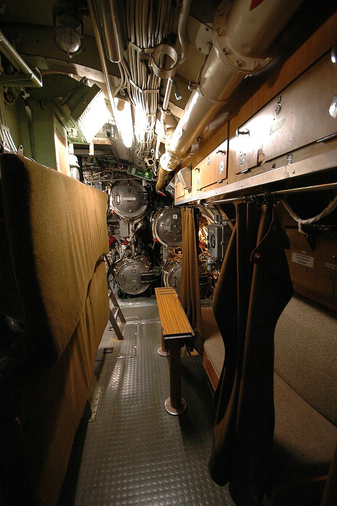 DSC_0317.JPG