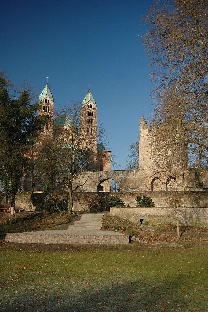DSC_0372.JPG
