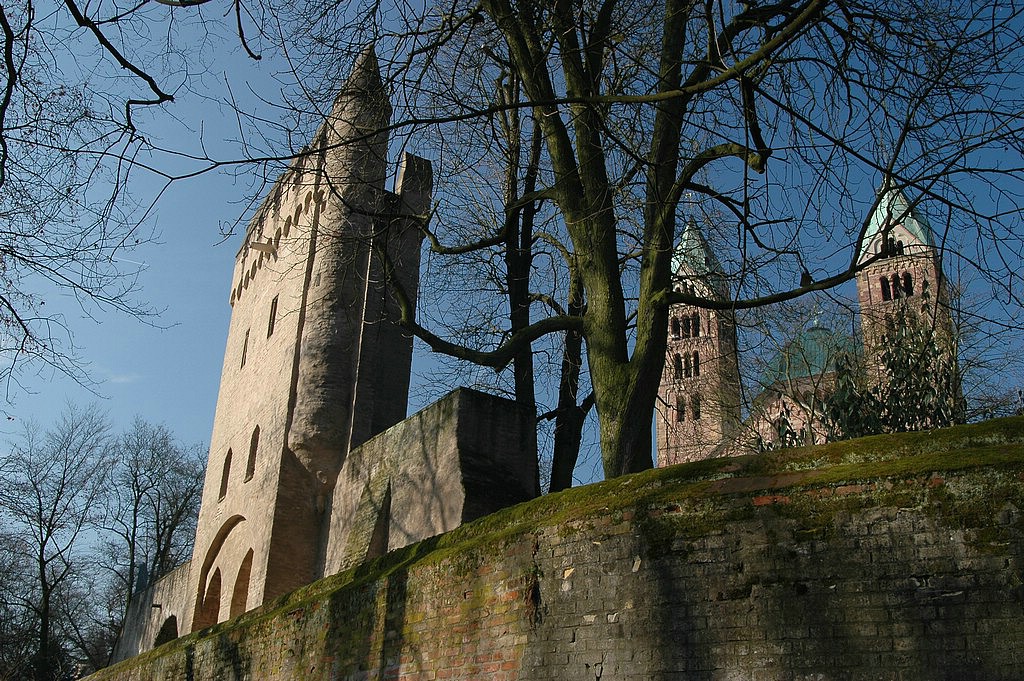 DSC_0399.JPG