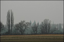DSC_0009.JPG