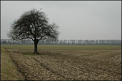 DSC_0021.JPG