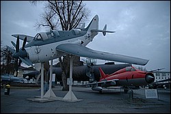 DSC_0273.JPG