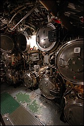 DSC_0314.JPG