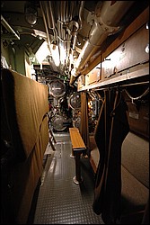 DSC_0317.JPG
