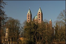 DSC_0364.JPG