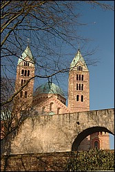 DSC_0374.JPG