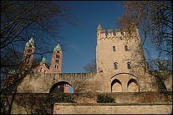 DSC_0379.JPG