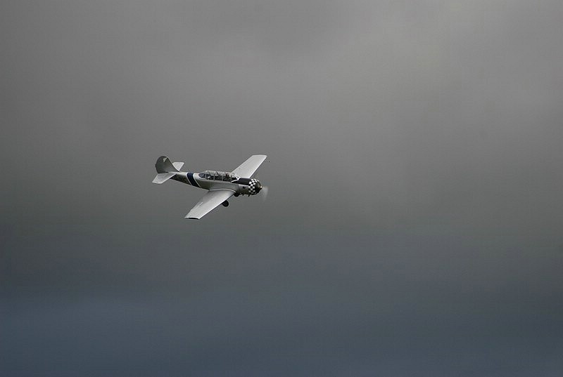 DSC_1313.JPG