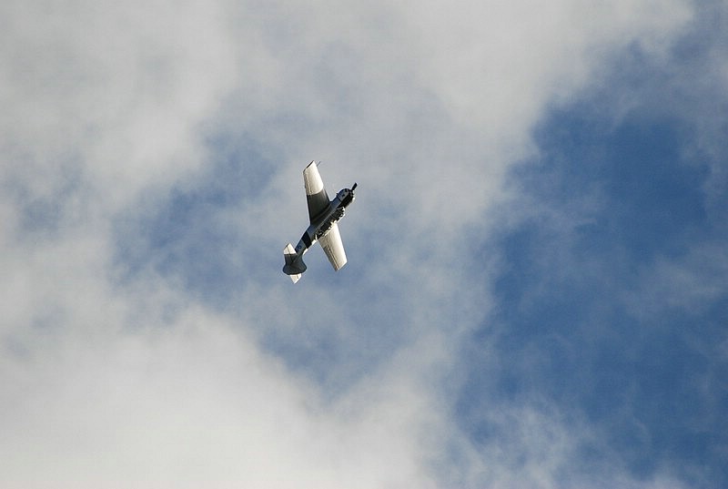DSC_1318.JPG