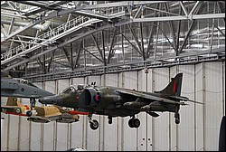 DSC_1268.JPG