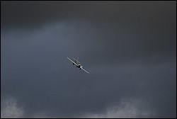DSC_1300.JPG
